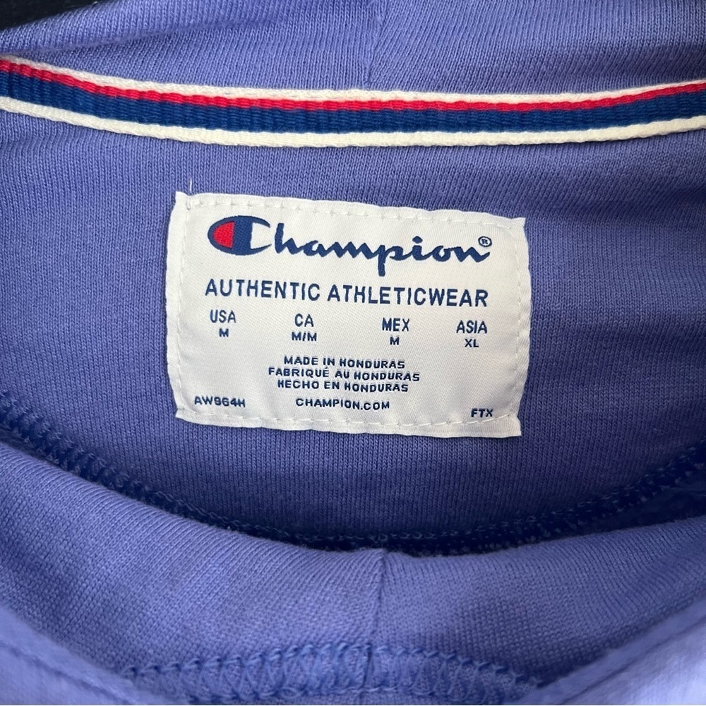Champion Purple Hoodie - MEDIUM - Picture 9 of 12